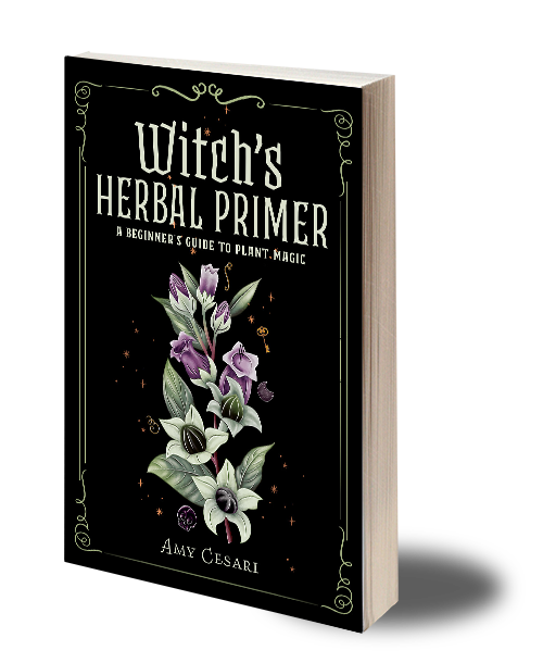 FULL COLOR Witch's Herbal Primer - Coloring Book of Shadows