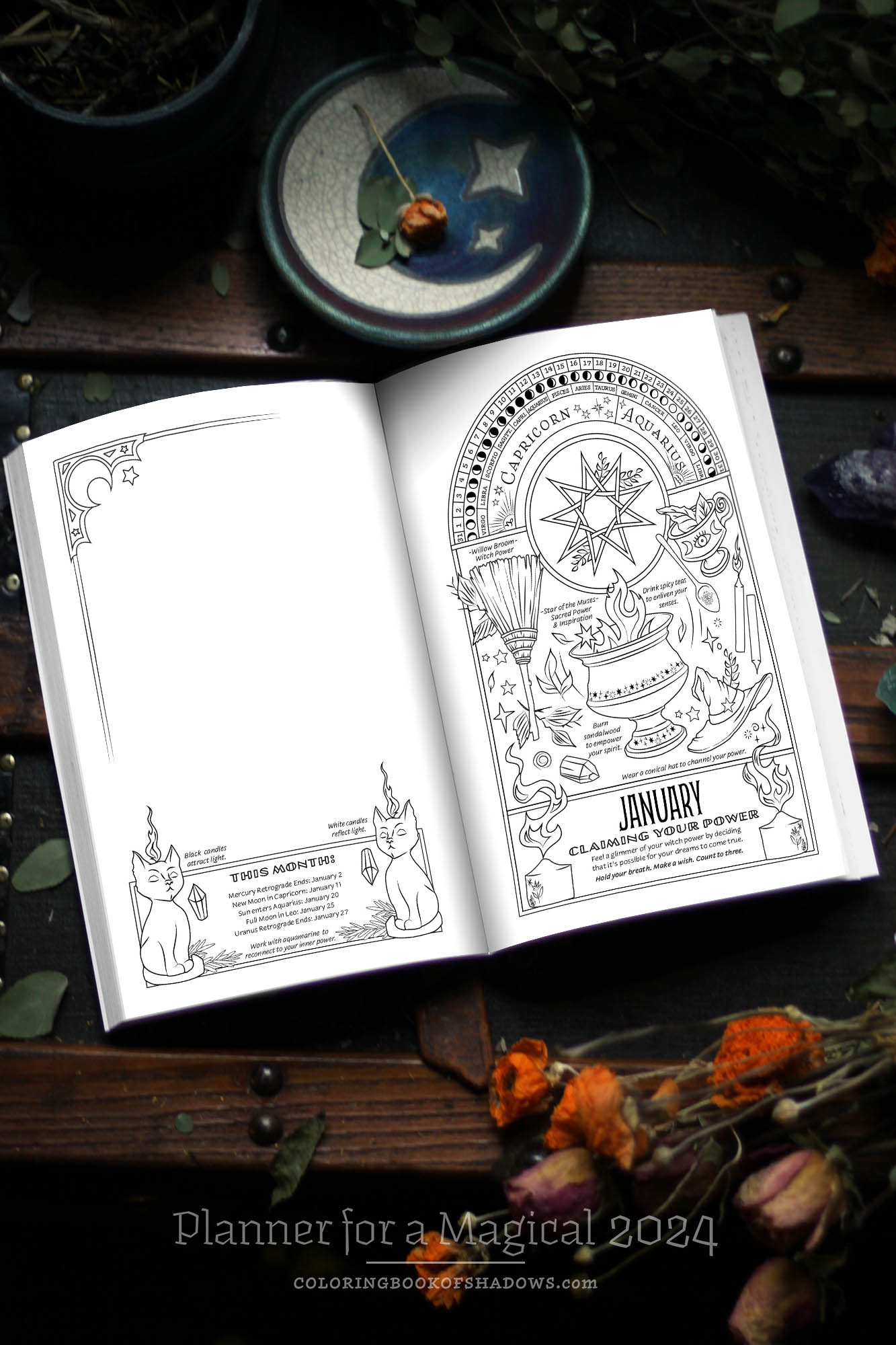 Planner for a Magical 2024 - Coloring Book of Shadows